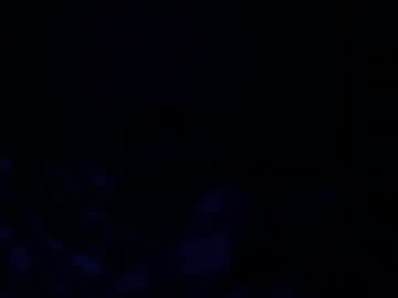 Profile of adam_x256