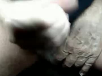 polarbear49