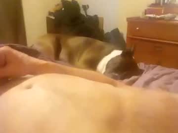 cockupinu2