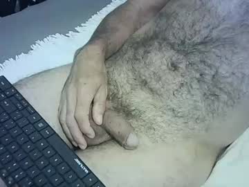 lontbrasil