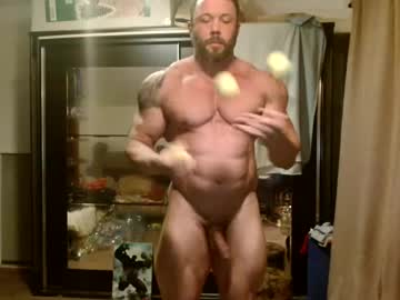 stevebulkzor