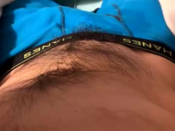 stankfox