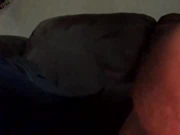 Profile of buckbumblebee