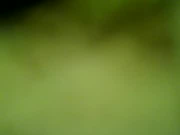 Profile of darrenrider