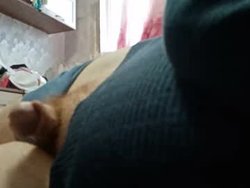 Profile of kotik73