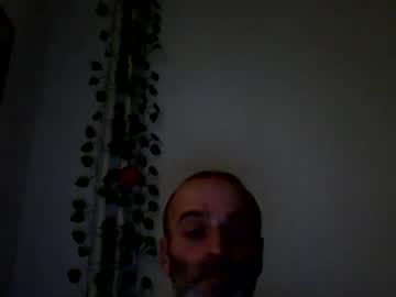 Profile of vanko781