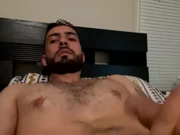 Profile of wolf944980