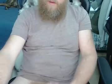 Profile of bearedbear