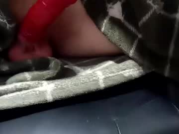Litlpenis16 — Chaturbate male cam model