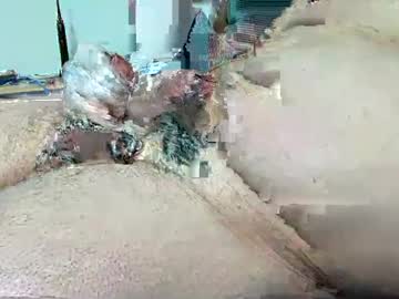 Vinpierc — Chaturbate male cam model