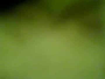 Darrenrider December 18, 2024