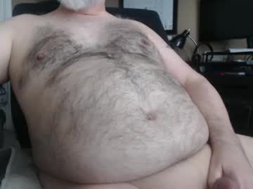 Lazycub December 19, 2024