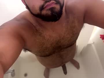 Browncock979 December 21, 2024