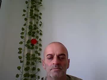 Vanko781 December 22, 2024