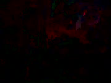paleta411 photo 2