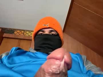 Maskedman231 December 27, 2024