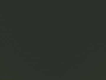 Bobbileeswagga December 30, 2024