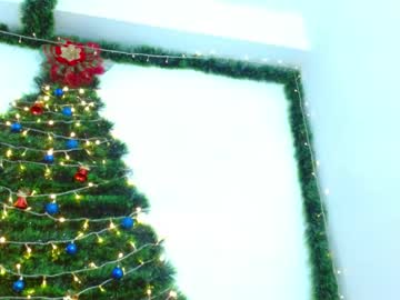 Emily__Hoot2 December 31, 2024
