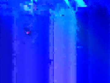 Foxlunaws January 02, 2025