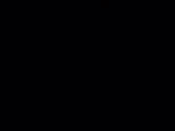 Ls170955 January 06, 2025