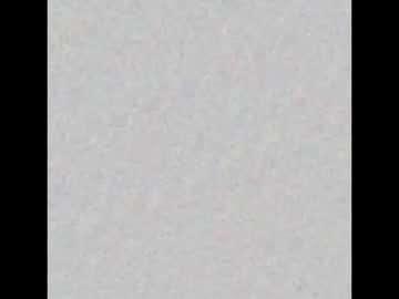 Ladysofianeon January 11, 2025