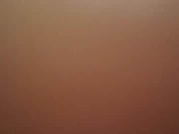 jaybird8 photo 7