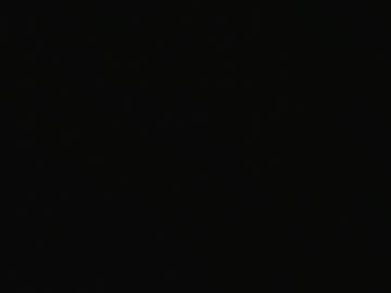 Pestexx January 19, 2025