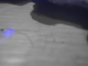 Surfsupnsd January 22, 2025