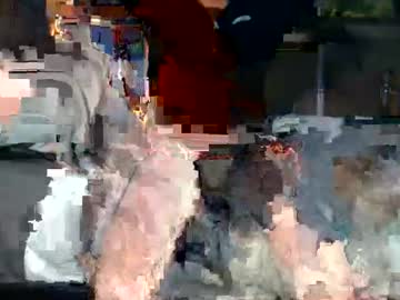 Bradpokeamam January 24, 2025
