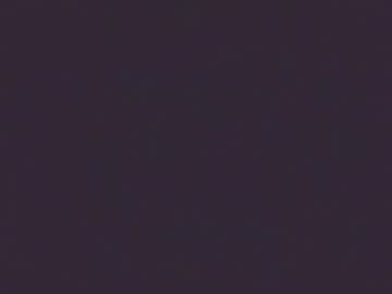 Ggnstud February 12, 2025