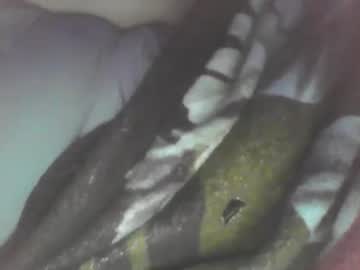 Spinnerbitch February 17, 2025