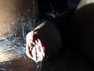 Zoolilur February 21, 2025