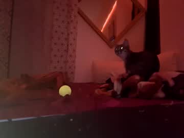 Bollykat February 27, 2025