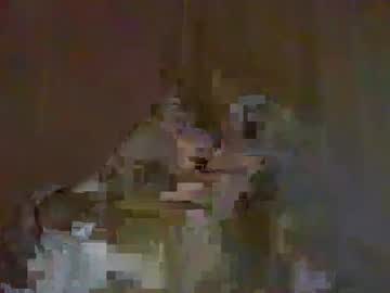 Cat_2019 April 12, 2025