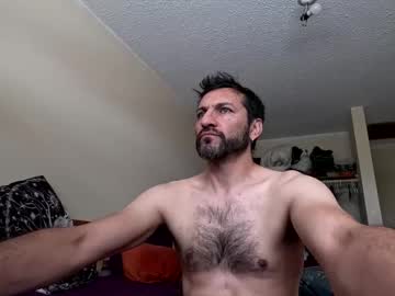 Ultratoaster August 04, 2025