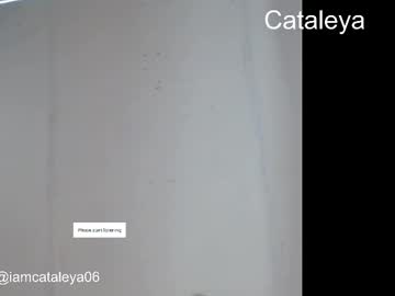 Skulycataleya August 09, 2025