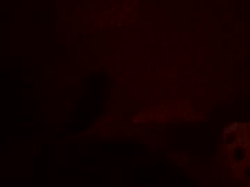 Ghostkitti August 15, 2025