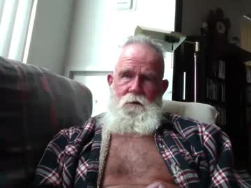 Beardbushy August 28, 2025