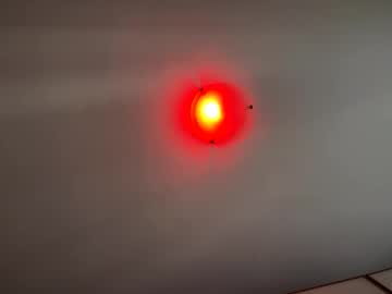 Witebull83 September 17, 2025
