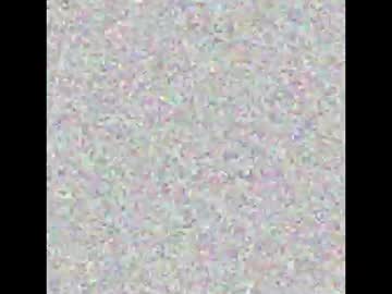 Pirremeow September 28, 2025
