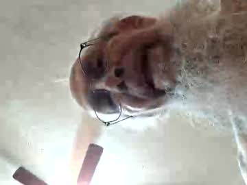 Rexwanker4everyone October 19, 2025