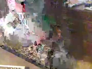 Scotthard October 21, 2025