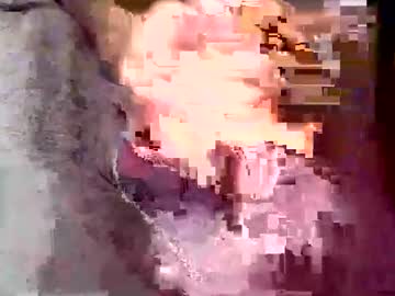 Drozdo November 19, 2025