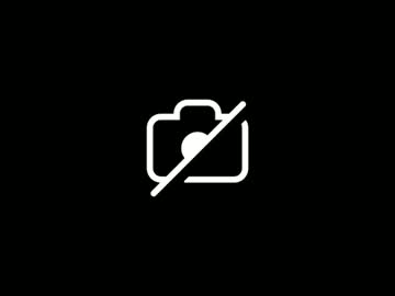 Doggydaddi February 19, 2026
