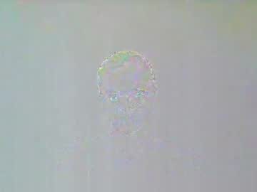 Cherryxpussy February 21, 2026