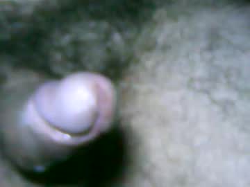 Fer_2197 March 05, 2026