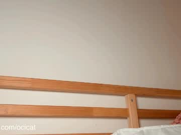 Ocicat April 01, 2026