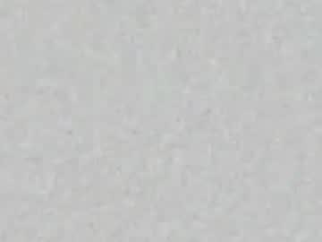 Livingpuddle April 11, 2026