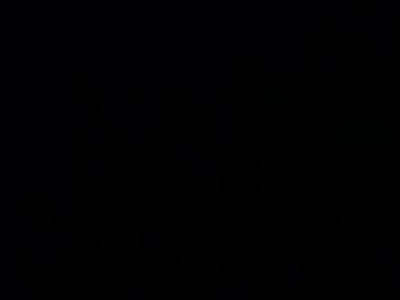 Licablack April 22, 2026