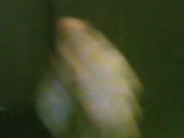 Kren565656 May 02, 2026
